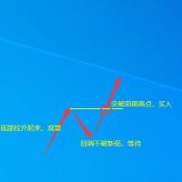 不浪了