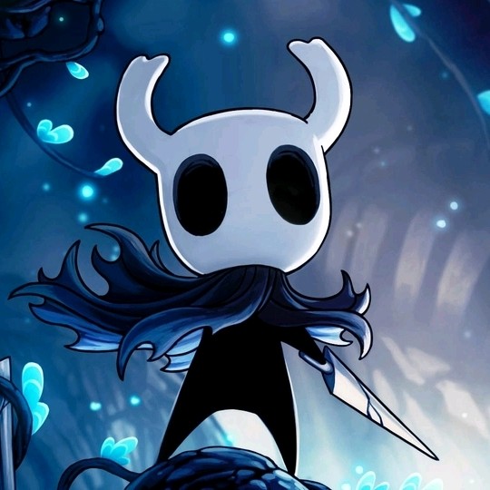 Hollow  knight