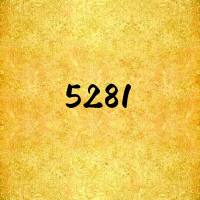 汇锦5281