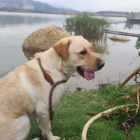 落魄不配有名字