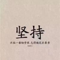 凌子交易789