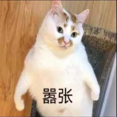 薛定谔的猫yyds