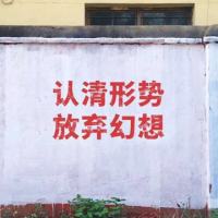 等风来zz