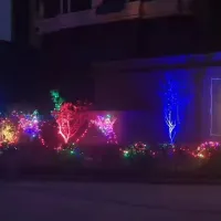 vv番号