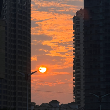魏姨量化-