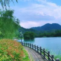 放下那块砖