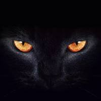 猎庄魔王