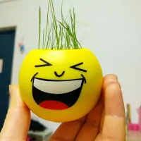一单天下和