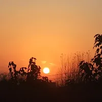 陶治庸论金