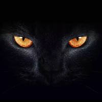 猎金魔王