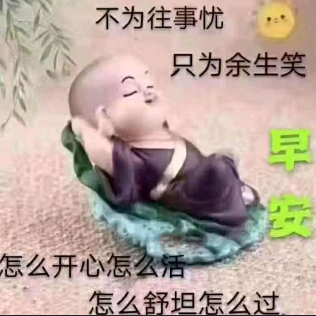 小不点868