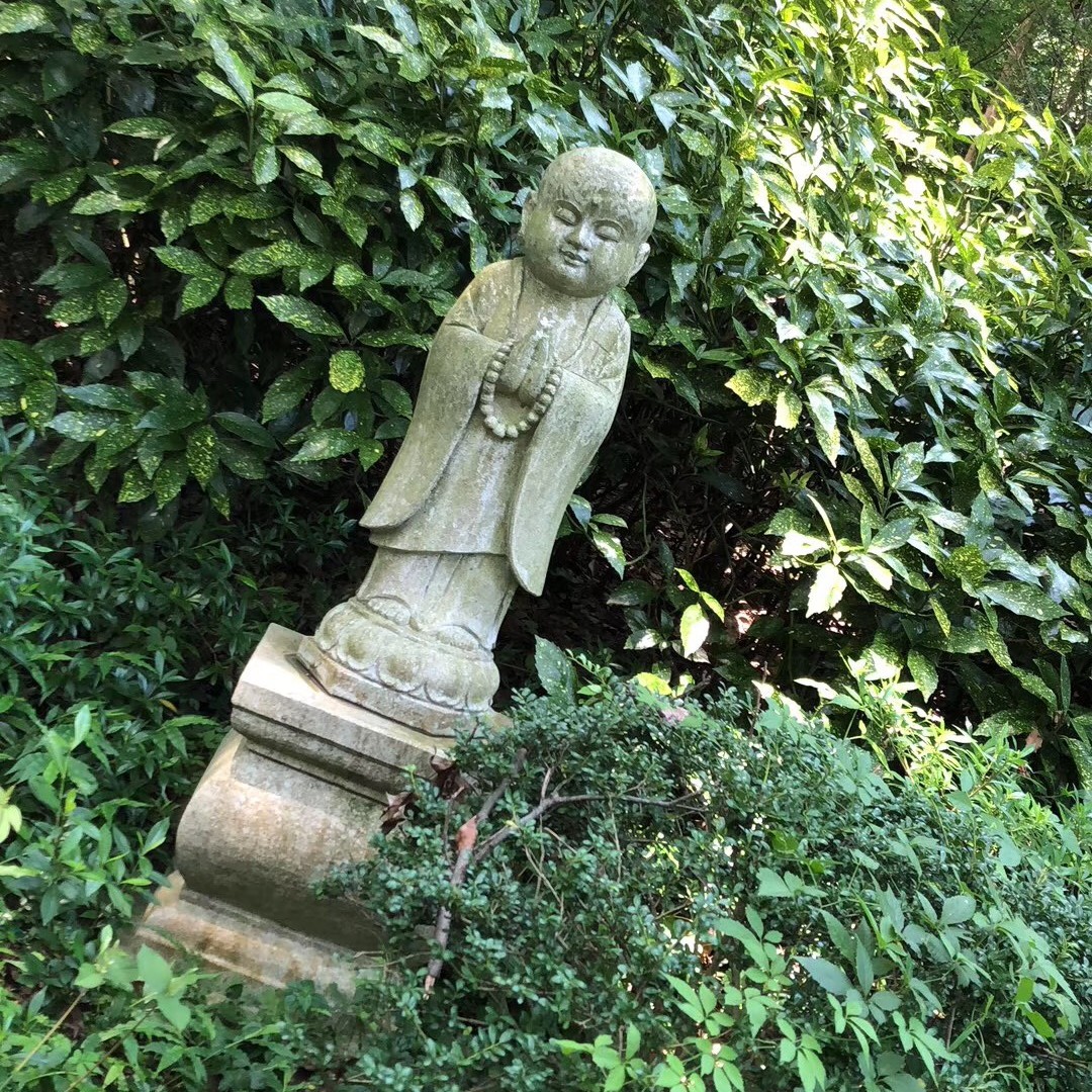 涨停跌停