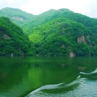 青山常在