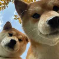 送钱玩家
