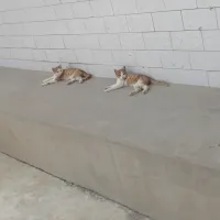 必须发财