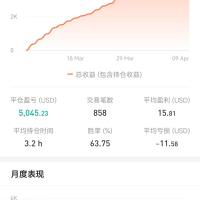 稳健策略获利者