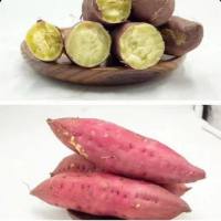剑侠情缘
