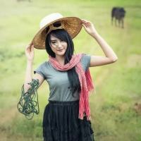 温顺的小羊