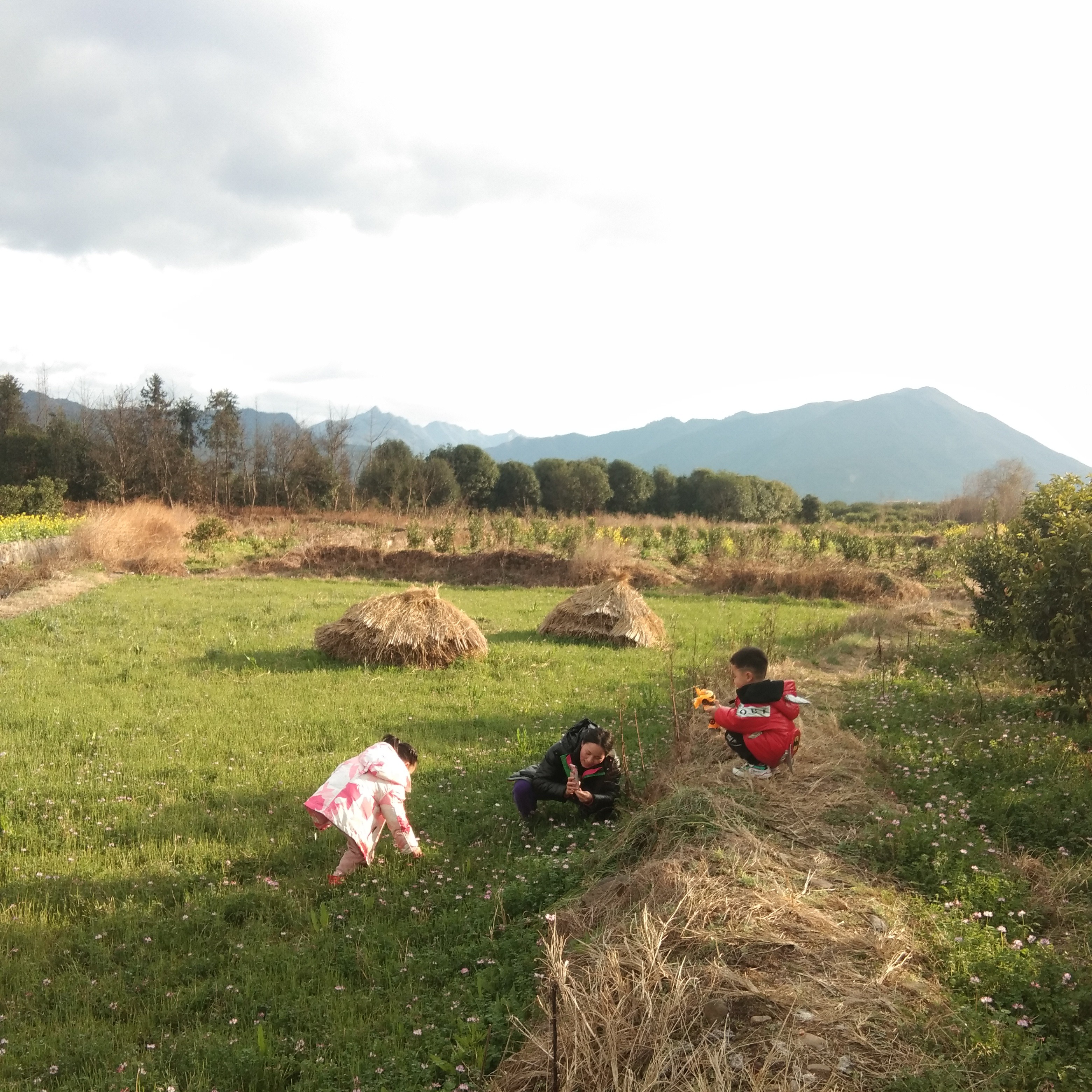 清风抚山岗