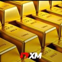 edn268 FOREX IT WARK