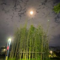 回本盈利