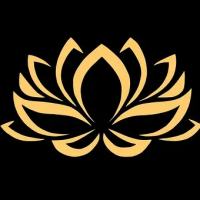 汇市攫金