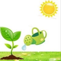 ECO