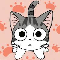 奔腾的小野猫