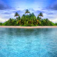 想去流浪