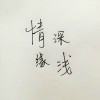 chinese2099