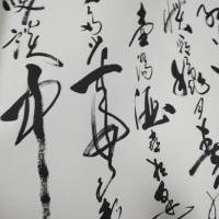 金冢 .01