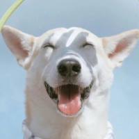 1093365566