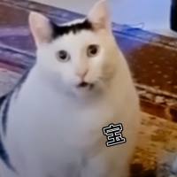 驰骋啊