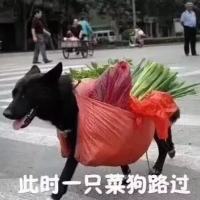 我是十番