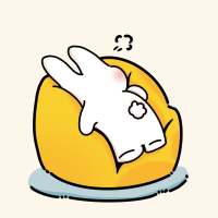 半只兔子面面