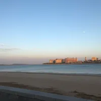 qeddc