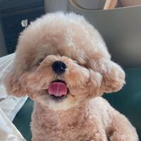 重置昵称115