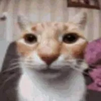 iz.etc