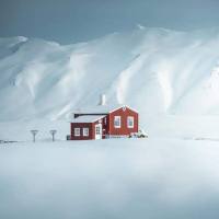 Tani Snow