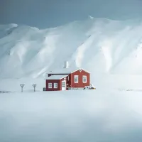 Tani Snow
