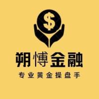 朔愽金融