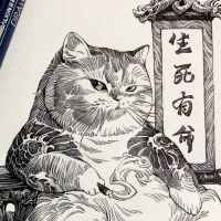 喵了个喵啊