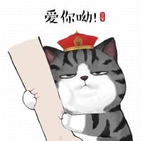 猪小小