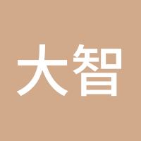 大智若愚QWER