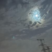 Zgy复利日