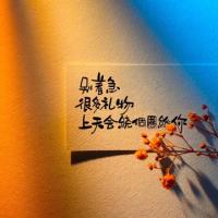 向阳花开🌻