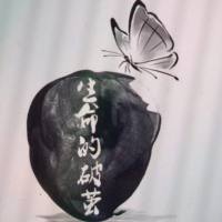 化茧成蝶ZZ