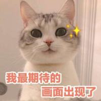 火火火🔥