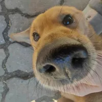 5868793