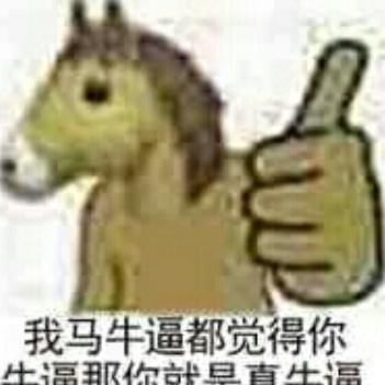 新号启航